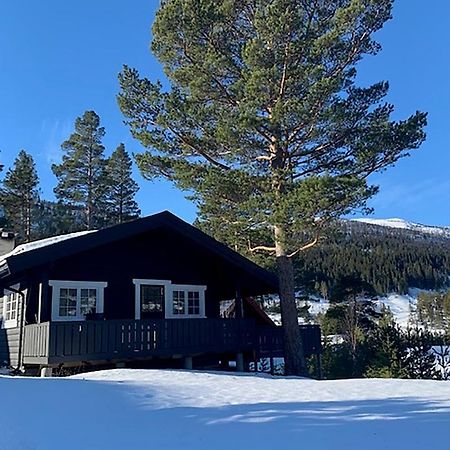 Uvdalhytta - close to cross country&downhill skiing Sonstebo Exteriör bild