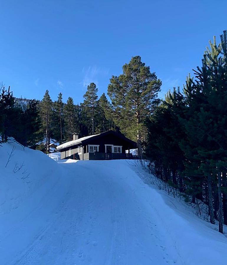Uvdalhytta - close to cross country&downhill skiing Sonstebo Exteriör bild